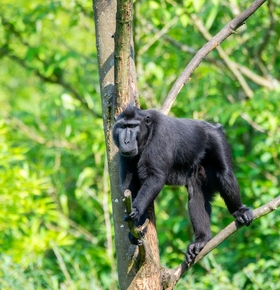Seniorenführung "Artenschutz im Zoo Vivarium" am 2. April 