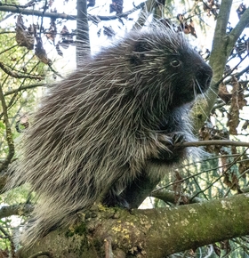 Tierischer Neuzugang im Vivarium
