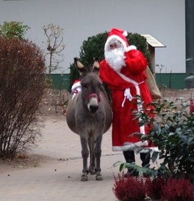 Nikolaus besucht am 6. Dezember den Zoo Vivarium
