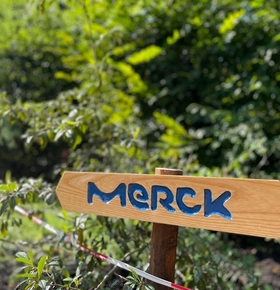 Merck-Auszubildende sanieren Besucherweg im Vivarium