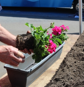 EAD-Pflanztag auf der Kompostanlage