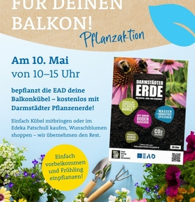 Frühling für den Balkon: