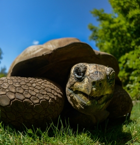 Sommerferienprogramm des Zoo Vivarium: