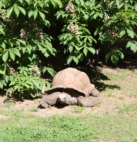 Zoo Vivarium sucht Helferinnen und Helfer für Frühjahrsputz